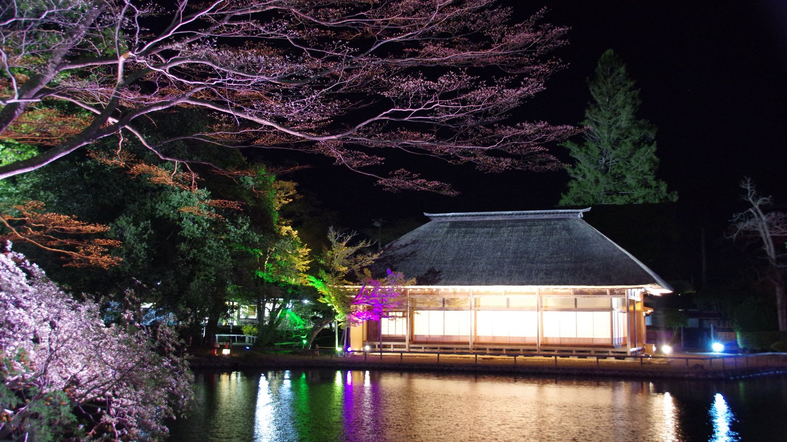 旧有備館および庭園のライトアップ(過去の春の様子)(写真提供:みやぎデジタルフォトライブラリー)